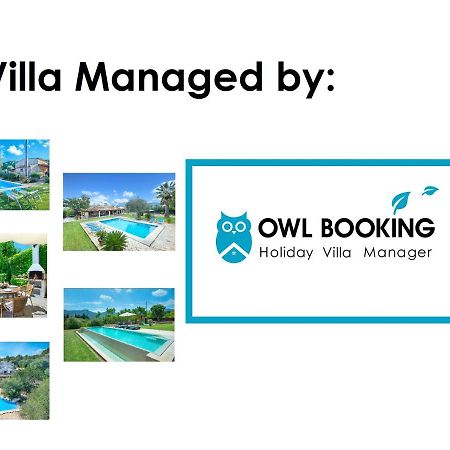 Owl Booking Villa March - 10 Min Walk To The Old Town بويينسا المظهر الخارجي الصورة