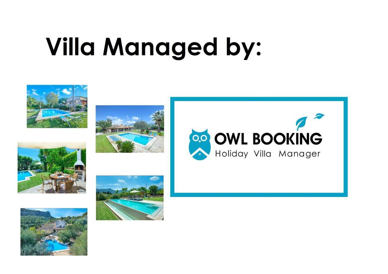 Owl Booking Villa March - 10 Min Walk To The Old Town بويينسا المظهر الخارجي الصورة
